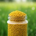 حبوب اللقاح